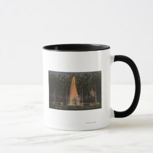 Taza Deland, la Florida - universidad de Stetson