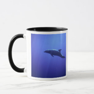 Taza Delfín