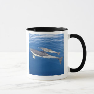 Taza Delfín común en el estrecho