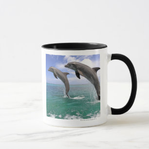 Taza Delfin, Delphin, un Tuemmler más grueso, Tursiops
