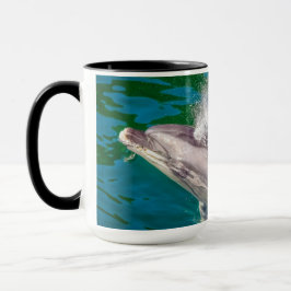 Taza Delfín En Milford Sound, Nueva Zelanda