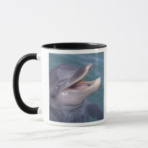 Taza delfín mular del Caribe