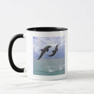 Taza Delfin (un Tuemmler más grueso)