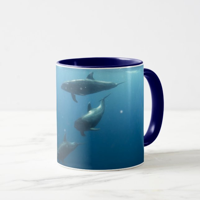 Taza Delfines (Anverso derecho)