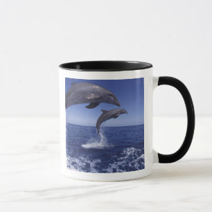 Taza delfines del Caribe, de nariz de botella