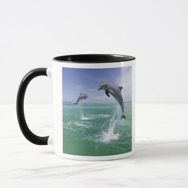 Taza Delfines mulares Tursiops truncatus (Izquierda)
