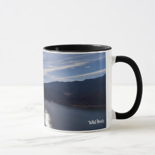 Taza Depósito de Horsetooth