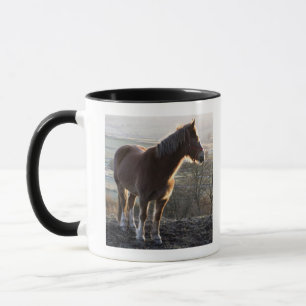 Taza Derbyshire, Inglaterra