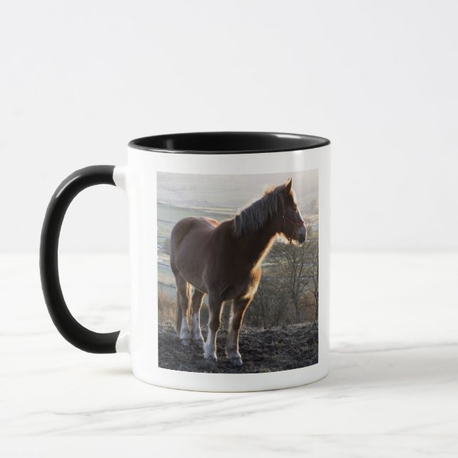 Taza Derbyshire, Inglaterra (Izquierda)