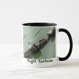 Taza derecha de la tortuga