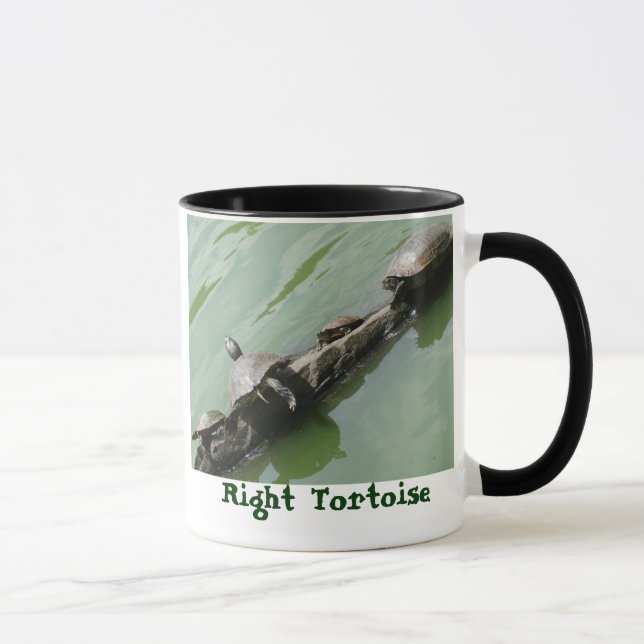Taza derecha de la tortuga (Derecha)