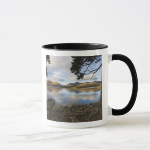 Taza Derwentwater, Distrito de los Lagos, Cumbria, Ingl
