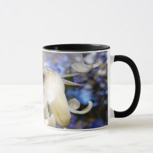 Taza Descensos de la nieve