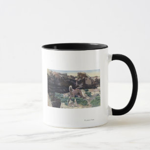Taza Desierto rojo, WY - semental salvaje del Palomino