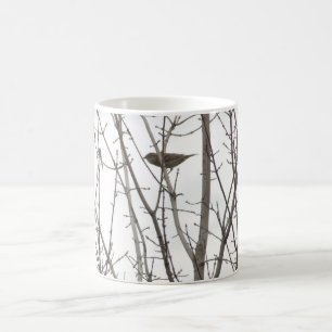 Taza desnuda del pájaro del miembro
