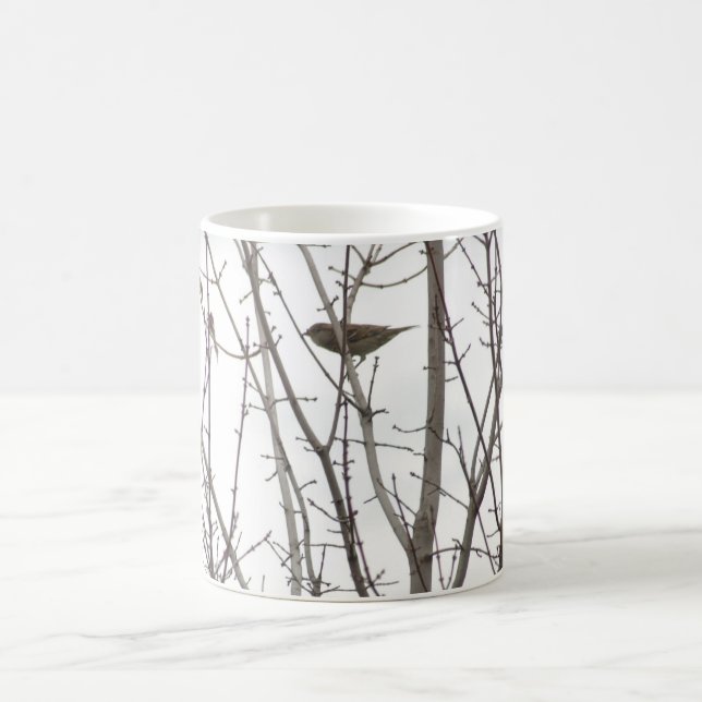 Taza desnuda del pájaro del miembro (Centro)