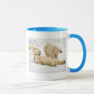 Taza Después de oso de la cena
