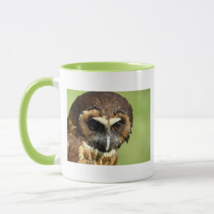 Taza Destino animal de la armonía del árbol del parque
