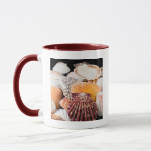 Taza Detalle de conchas marinas de todo el mundo 2