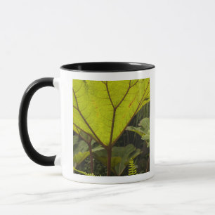 Taza Detalle de planta en un jardín botánico, Ecuador 2