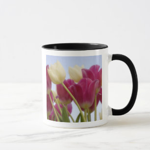 Taza Detalle de tulipanes. Créditos: Don Paulson /
