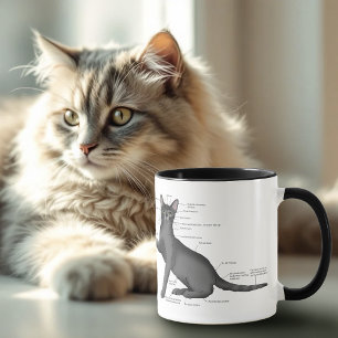 Taza Diagrama divertido de anatomía de gato Humor nerd
