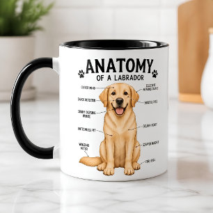 Taza Diagrama divertido de anatomía de Labrador Retriev