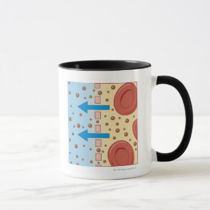 Taza Diálisis del riñón