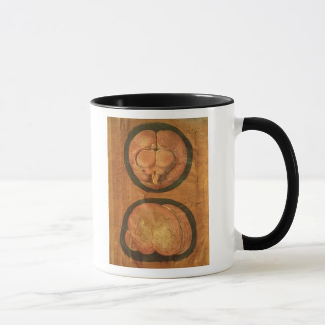 Taza Dibujo anatómico del cerebro humano (Derecha)