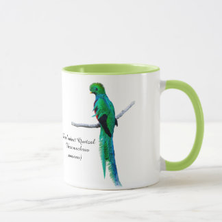 Taza Dibujo quetzal ilustracion de aves acuarela