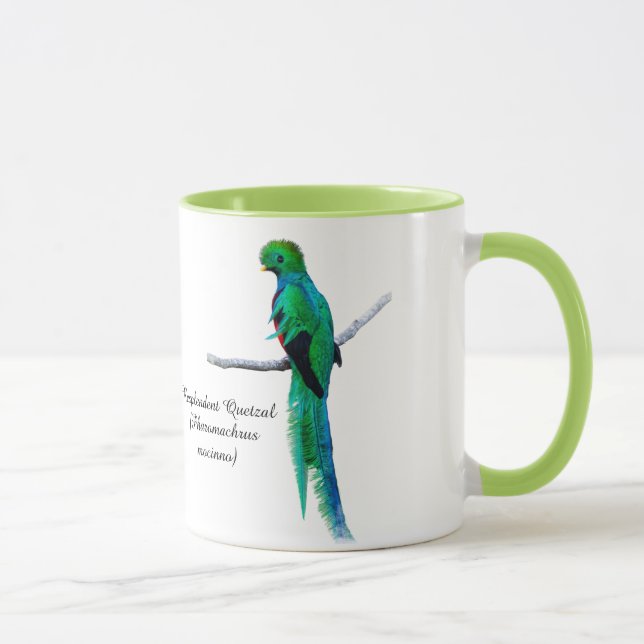 Taza Dibujo quetzal ilustracion de aves acuarela (Derecha)