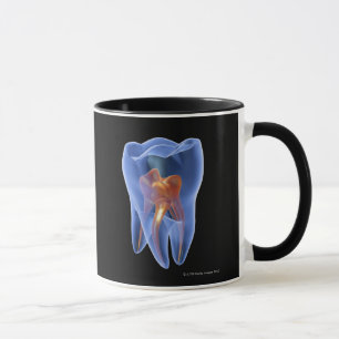 Taza Diente, sección representativa transparente de una