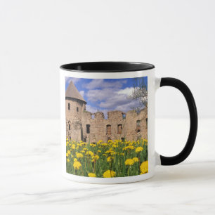Taza Dientes de león rodean el castillo de Cesis en el