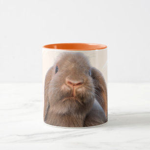 Taza Diseño de foto personalizado de conejo Holland Lop