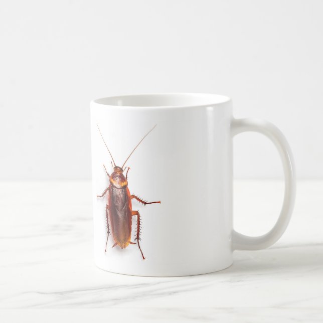 taza divertida de la cucaracha (Derecha)