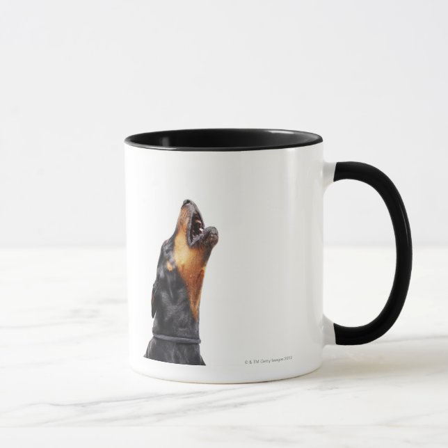 Taza Doberman que grita, primer (Derecha)