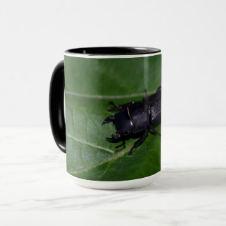 Taza Dorcus parallelipipedus , el escarabajo de menor t