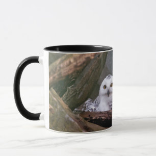 Taza Dos búhos