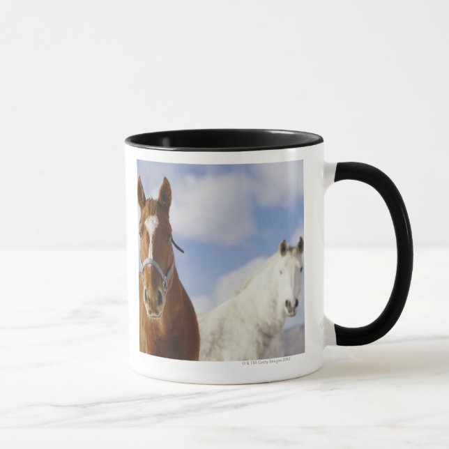 Taza Dos caballos (Derecha)