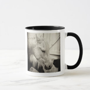 Taza dos caballos fuera de un establo blanco y negro