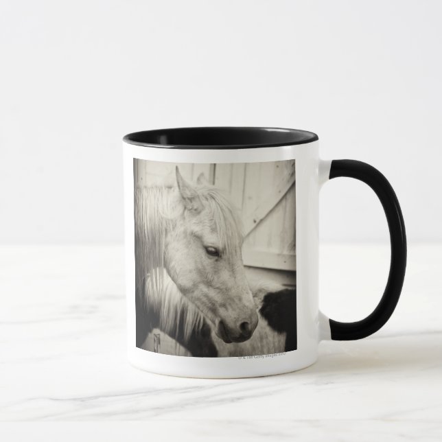 Taza dos caballos fuera de un establo blanco y negro (Derecha)