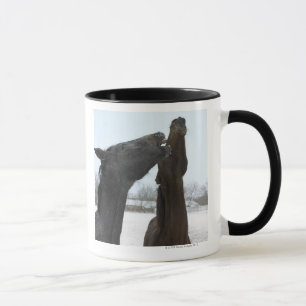 Taza dos caballos que relinchan