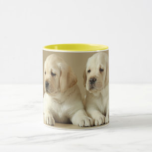 Taza Dos Cachorros Labrador Dorados