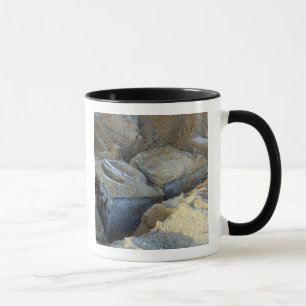 Taza Dos dispositivos encajonados llenos