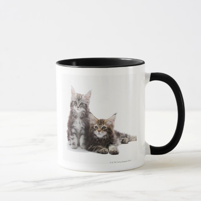 Taza Dos gatitos de gato de coon de Maine (Derecha)