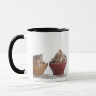 Taza Dos gatitos que duermen en cuencos