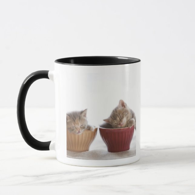 Taza Dos gatitos que duermen en cuencos (Izquierda)