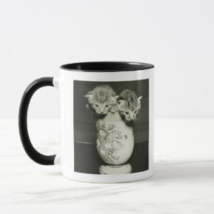 Taza Dos gatitos que ocultan en florero, (B&W)