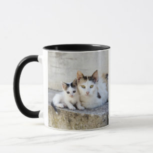 Taza Dos gatos en los pasos de piedra