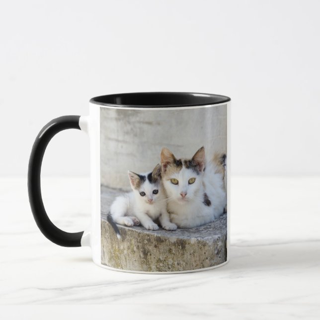 Taza Dos gatos en los pasos de piedra (Izquierda)